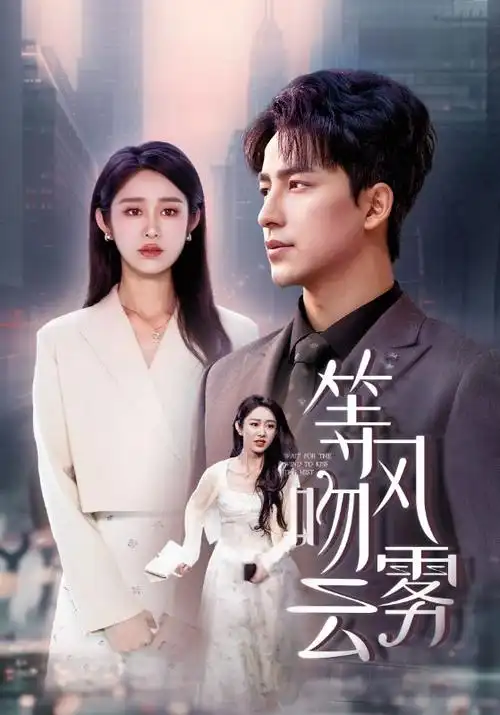 私人影视《长夜将明》海报